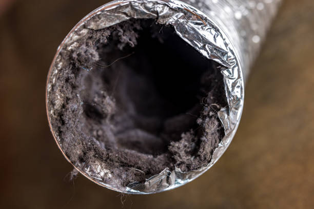 Best Home Air Vent Cleaning  in Marfa, TX